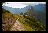 Machu Piccu 038